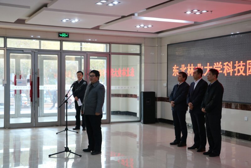 4110BF3E0E9E6900B158B60B476_64D8BB57_11C09.jpg 4110BF3E0E9E6900B158B60B476_64D8BB57_11C09.jpg